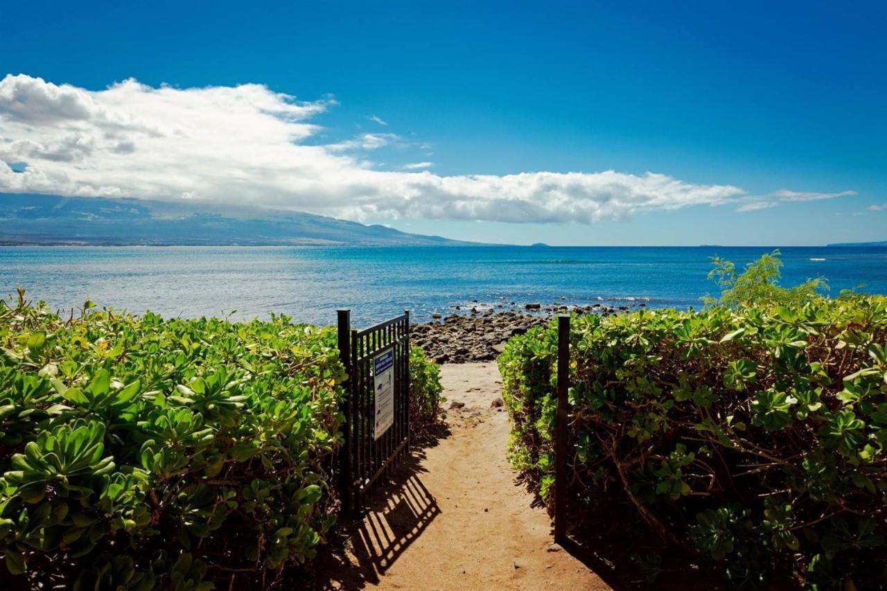 Stunning Maui Direct Ocean Front On The Beach, Walk To Beach From Condo, Watch Turtles, Whales, Ac In All Rooms Ocean View Pool And Spa Wailuku Kültér fotó